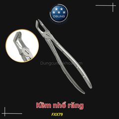 Kềm/Kìm nhổ răng cho người lớn Extraction Forcep Osung - Asia type(Cây)