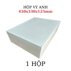 Hộp Nhựa Vy Anh 450x330x125mm Màu Trắng Nắp Đục