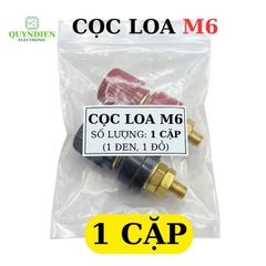 Cặp Jack loa JS333 M6 Cọc Đồng NẮP NHỰA Đỏ Đen trục 6mm