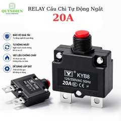 Relay Cầu Chì Tự Động Ngắt 20A