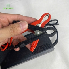 Bộ Sạc Pin Olympus 3S 12.6V-10A Kẹp Đỏ Đen