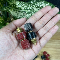 Cặp Jack loa JS333 M6 Cọc Đồng NẮP NHỰA Đỏ Đen trục 6mm