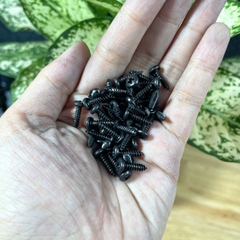 Ốc Vít Nhọn Đầu Tròn M3x10mm