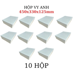 Hộp Nhựa Vy Anh 450x330x125mm Màu Trắng Nắp Đục