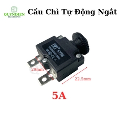 Relay Cầu Chì Tự Động Ngắt 5A