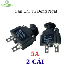 Relay Cầu Chì Tự Động Ngắt 5A