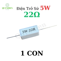Điện trở sứ 5W chân cắm ±5% dáng Nằm - 22R