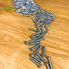 Ốc vít kèm tán M5x20mm túi 100 con