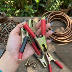 Kẹp Bình Ắc Quy 100A Thép Không Gỉ Đỏ Đen