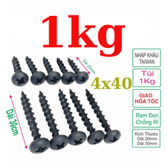 Ốc vít nhọn bắt thùng loa REN xoắn thưa TAIWAN M4 - 1kg