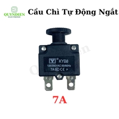 Relay Cầu Chì Tự Động Ngắt