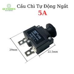 Relay Cầu Chì Tự Động Ngắt 5A