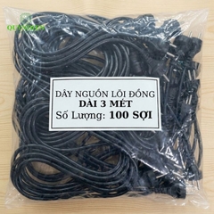Dây Nguồn Lõi Đồng Dài 3 Mét