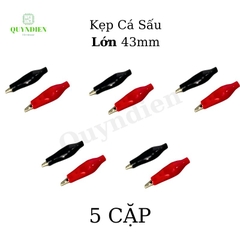 Kẹp cá sấu - LOẠI LỚN