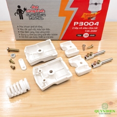 Phích Cắm Điện Siêu Chịu Tải P3000W-TH