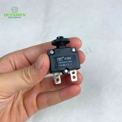 Relay Cầu Chì Tự Động Ngắt 10A