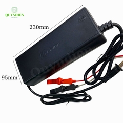 Bộ Sạc Pin Sắt Olympus 4S 14.6V-20A Kẹp Đỏ Đen