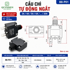 Relay Cầu Chì Tự Động Ngắt 5A
