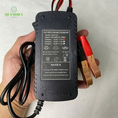 Bộ Sạc Pin Olympus 3S 12.6V-5A Kẹp Đỏ Đen