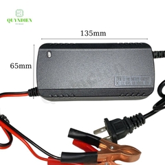 Bộ Sạc Pin Olympus 3S 12.6V-5A Kẹp Đỏ Đen