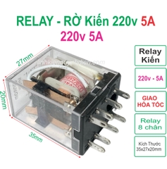 Relay rơ le Kiến 8 chân 220v - 5A trong suốt