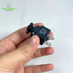 Relay Cầu Chì Tự Động Ngắt 20A