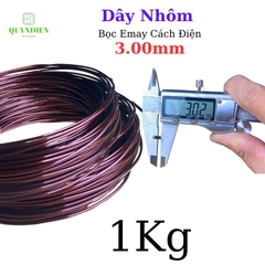 Dây NHÔM bọc emay TIẾN THỊNH size 3.00mm