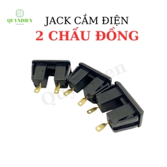 Ổ Cắm 2 Lỗ 2 Chấu Đồng Dùng Để Thiết Kế Ổ Cắm Chuyên Dụng Màu Đen