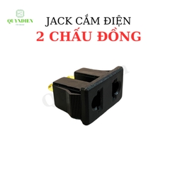 Ổ Cắm 2 Lỗ 2 Chấu Đồng Dùng Để Thiết Kế Ổ Cắm Chuyên Dụng Màu Đen