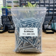 Ốc Vít M4x40mm Có Kèm Tán - Túi 100 Con
