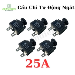 Relay Cầu Chì Tự Động Ngắt
