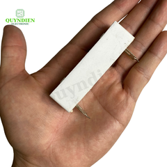 Điện Trở Sứ 50W22R - Túi 5 Cái