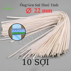 Ống gen cách điện sợi thủy tinh size 22mm