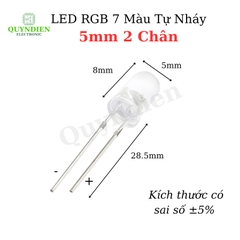 Đèn LED RGB 7 Màu Tự Nháy 5mm 2 Chân Siêu Sáng -10 bóng