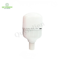 Bóng Đèn LED Công Suất Cao 30W H30W-T
