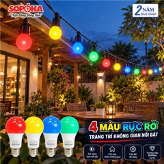 Bóng đèn LED Màu trang trí 7W