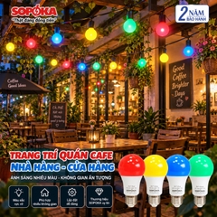Bóng đèn LED Màu trang trí 7W