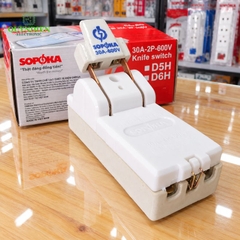 Cầu Dao Đế Sứ 1 Pha 2P 600V Cực Đúc SOPOKA
