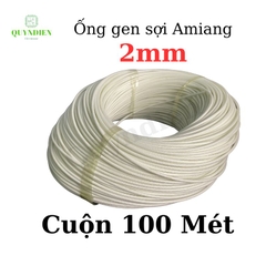 Ống gen sợi thuỷ tinh AMIANG chống cháy size 2mm