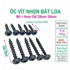 Ốc vít nhọn bắt thùng loa REN xoắn thưa TAIWAN M4 - 1kg