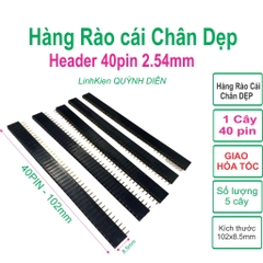 Hàng Rào Cái, Đơn, Lỗ Vuông, Chân DẸP Thẳng 40 pin (Header 2.54 40pin)