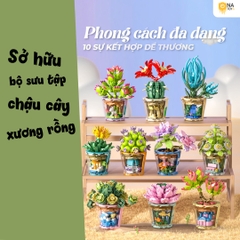 Xếp Hình Xương Rồng Hoa Tím