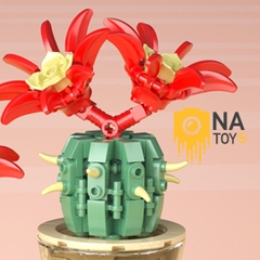 Xếp Hình Xương Rồng Hoa Đỏ