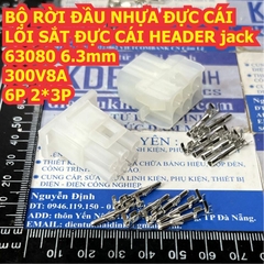 Bộ RỜI ĐẦU NHỰA ĐỰC CÁI LÕI SẮT ĐỰC CÁI HEADER jack 63080 6.3mm 300V 8A 2P ~ 15P kde1249