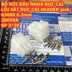 Bộ RỜI ĐẦU NHỰA ĐỰC CÁI LÕI SẮT ĐỰC CÁI HEADER jack 63080 6.3mm 300V 8A 2P ~ 15P kde1249