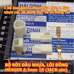 Bộ RỜI ĐẦU NHỰA ĐỰC CÁI, LÕI ĐỒNG ĐỰC CÁI HEADER 6.3mm jack oto ô tô các loại 1P ~ 12P kde1702