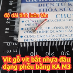 Vít gỗ vít bắt nhựa đầu dạng phễu bằng 4 chấu inox inoc KA M3 GB846 ST dài 8mm ~ 30mm kde6834