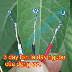 Động cơ không chổi than brushless Shinano 105Vdc 10.000V/P 25W LA034 trục 5mm chế máy phát điện kde7414