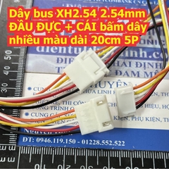 Dây bus XH2.54 2.54mm ĐẦU ĐỰC + CÁI bấm dây nhiều màu dài 20cm 2P ~ 10P kde8800