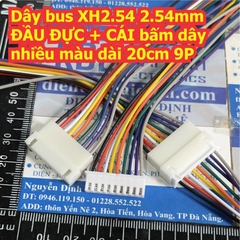 Dây bus XH2.54 2.54mm ĐẦU ĐỰC + CÁI bấm dây nhiều màu dài 20cm 2P ~ 10P kde8800